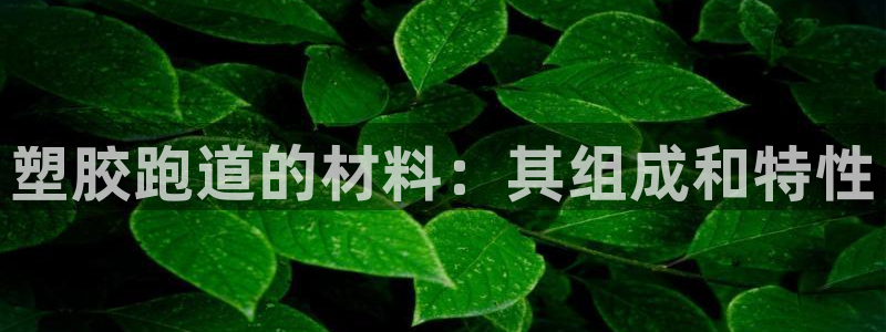 tqb谈球吧：塑胶跑道的材料：其组成和特性