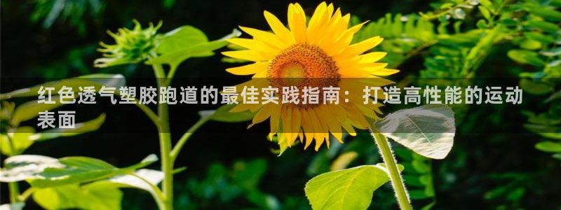 谈球吧体育app登陆不了：红色透气塑胶跑道的最佳实践指南：打造高性能的运动
表面