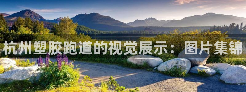 谈球吧官网在线入口免费观看视频