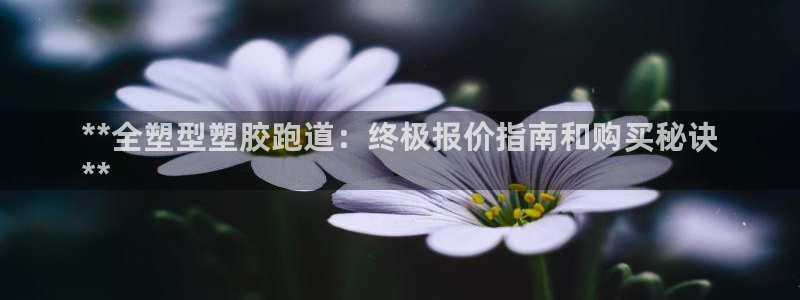 谈球吧平台app下载网址是什么：**全塑型塑胶跑道：终极报价指南和购买秘诀
**