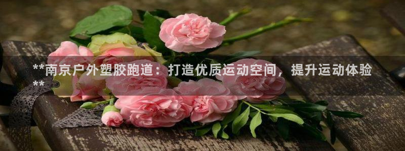 谈球吧红包码：**南京户外塑胶跑道：打造优质运动空间，提升运动体验
**