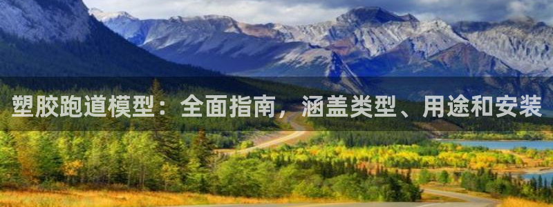 谈球吧在线观看：塑胶跑道模型：全面指南，涵盖类型、用途和安装