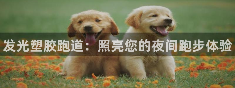 谈球吧app赛事分析报告怎么做：发光塑胶跑道：照亮您的夜间跑步体验