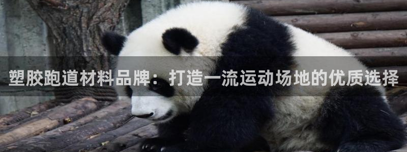 谈球吧娱乐app下载官网苹果手机：塑胶跑道材料品牌：