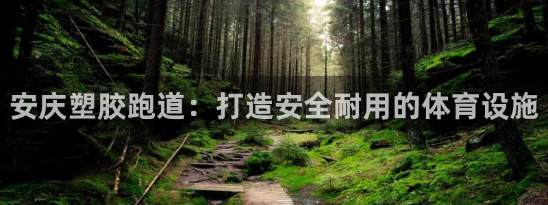 谈球吧官网app：安庆塑胶跑道：打造安全耐用的体育设