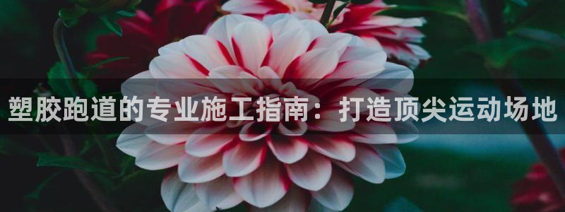 谈球吧体育app下载官网手机版苹果：塑胶跑道的专业施