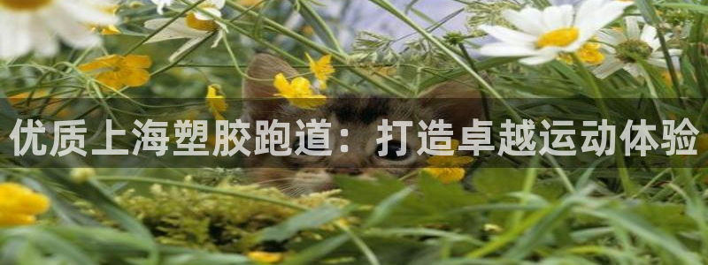 谈球吧言网入口：优质上海塑胶跑道：打造卓越运动体验