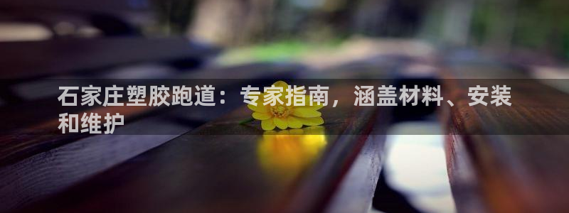 谈球吧app体育下载官网：石家庄塑胶跑道：专家指南，涵盖材料、安装
和维护