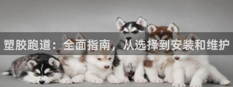 谈球吧在线观看：塑胶跑道：全面指南，从选择到安装和维护