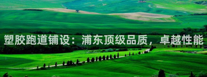 谈球吧官网在线入口手机版下载安装：塑胶跑道铺设：浦东顶级品质，卓越性能
