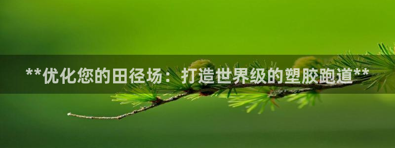 谈球吧被黑不给提现：**优化您的田径场：打造世界级的塑胶跑道**