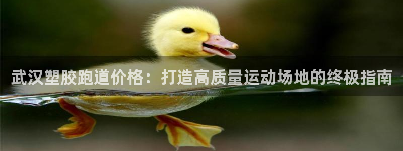 谈球吧官网入口：武汉塑胶跑道价格：打造高质量运动场地的终极指南