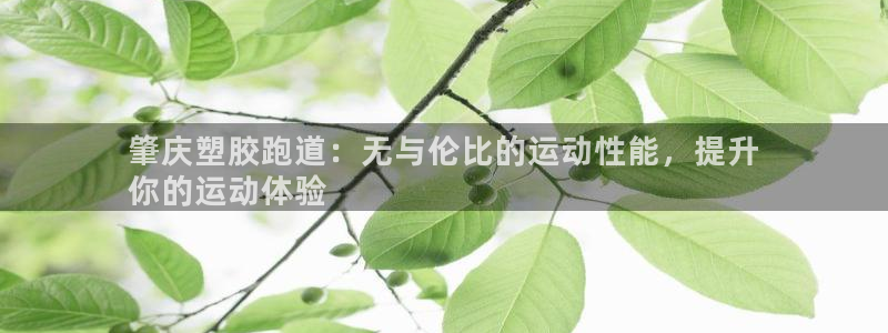 谈球吧怎么样：肇庆塑胶跑道：无与伦比的运动性能，提升
你的运动体验