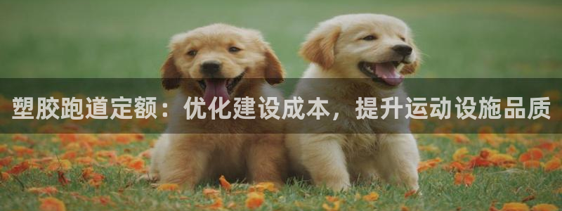 谈球吧中国官方网站：塑胶跑道定额：优化建设成本，提升运动设施品质