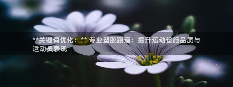 谈球吧体育app下载官网手机版：**关键词优化：**