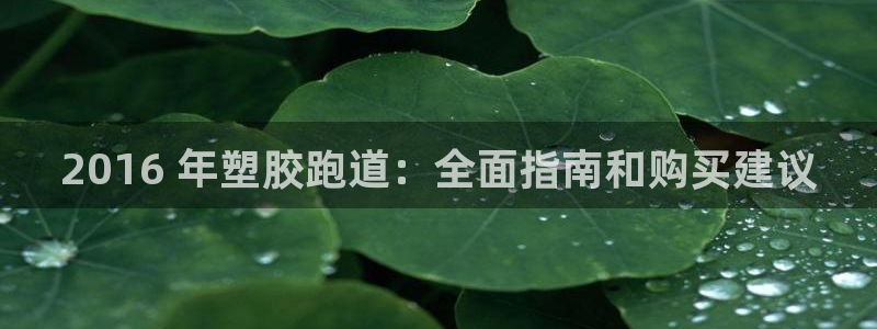 谈球吧出款：2016 年塑胶跑道：全面指南和购买建议