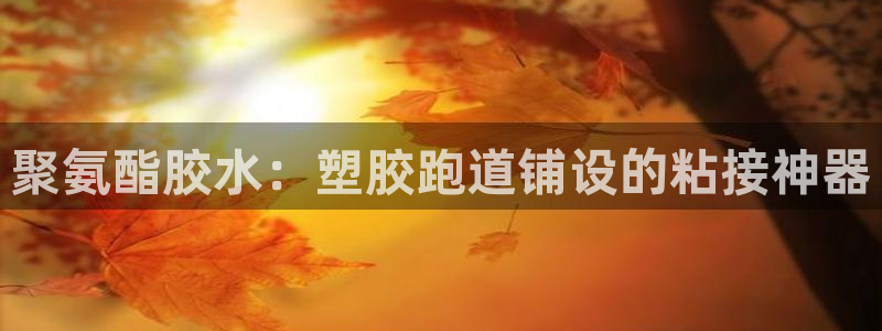 谈球吧App：聚氨酯胶水：塑胶跑道铺设的粘接神器