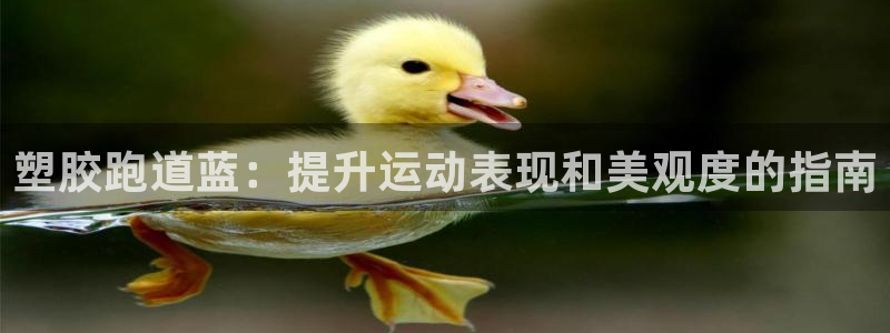 谈球吧登录地址：塑胶跑道蓝：提升运动表现和美观度的指南