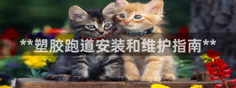 谈球吧下载地址：**塑胶跑道安装和维护指南**