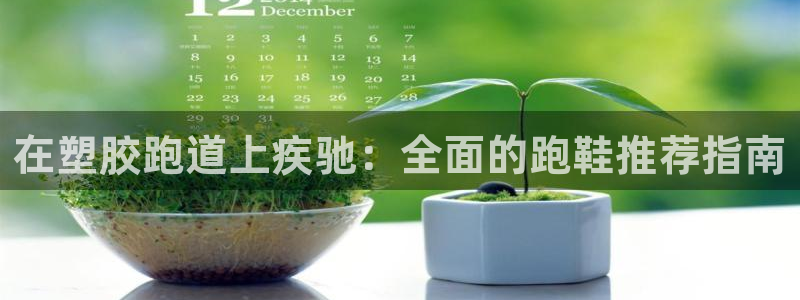 谈球吧红包激活码：在塑胶跑道上疾驰：全面的跑鞋推荐指南