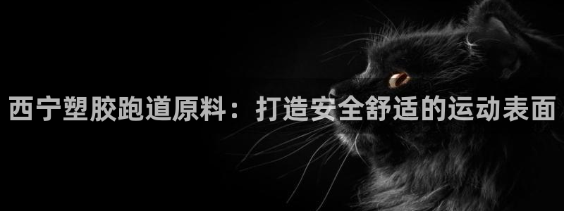 谈球吧怎么样：西宁塑胶跑道原料：打造安全舒适的运动表面