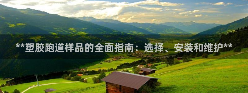 谈球吧体育综合：**塑胶跑道样品的全面指南：选择、安装和维护**