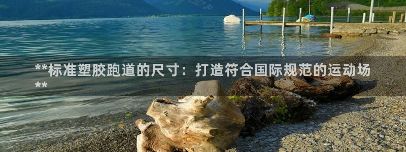 谈球吧app官网：**标准塑胶跑道的尺寸：打造符合国