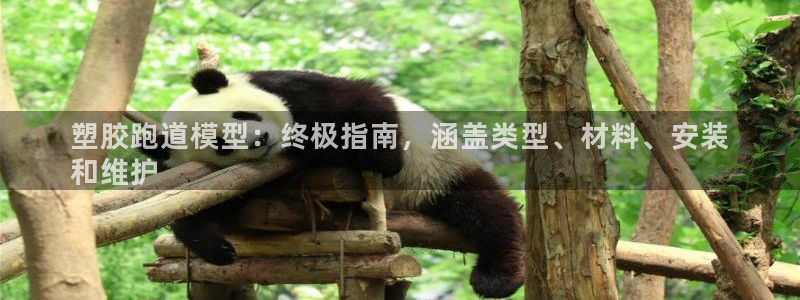 谈球吧平台正规吗可信吗：塑胶跑道模型：终极指南，涵盖类型、材料、安装
和维护