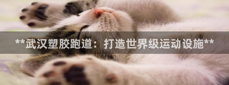 谈球吧言网入口：**武汉塑胶跑道：打造世界级运动设施**