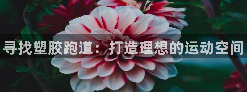 谈球吧app靠谱吗：寻找塑胶跑道：打造理想的运动空间