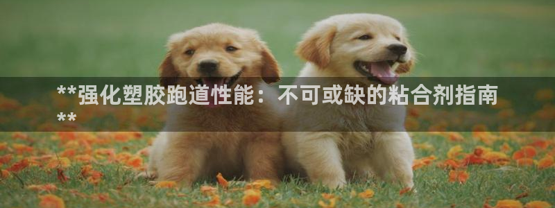 谈球吧app赛事分析报告：**强化塑胶跑道性能：不可或缺的粘合剂指南
**
