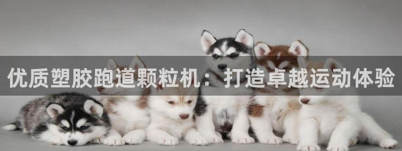 谈球吧在线登陆：优质塑胶跑道颗粒机：打造卓越运动体验