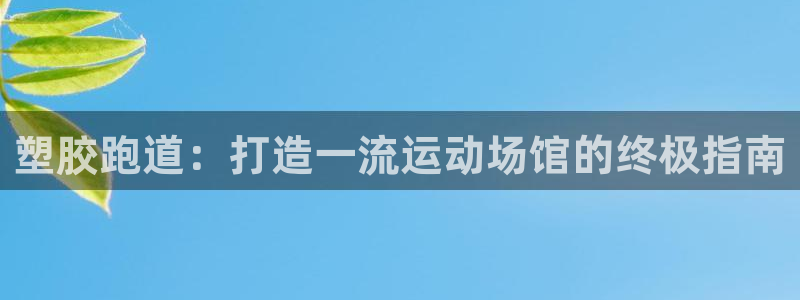 谈球吧体育官方入口：塑胶跑道：打造一流运动场馆的终极指南