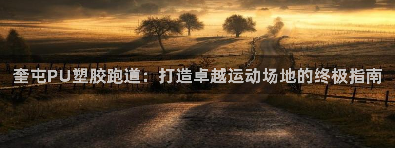 谈球吧官网在线入口手机版下载苹果：奎屯PU塑胶跑道：打造卓越运动场地的终极指南