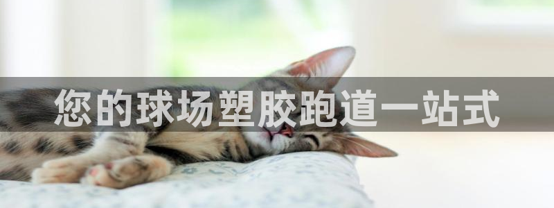 谈球吧电子：您的球场塑胶跑道一站式