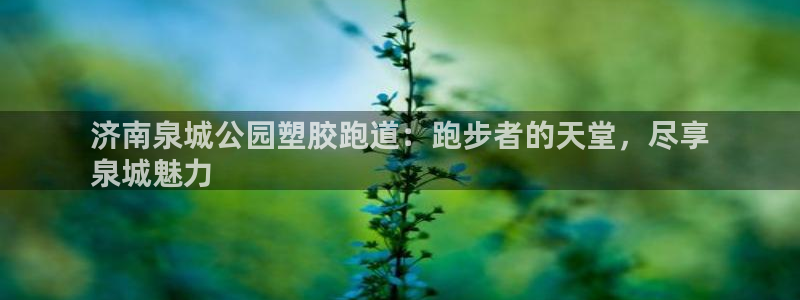 谈球吧app体育下载官网：济南泉城公园塑胶跑道：跑步