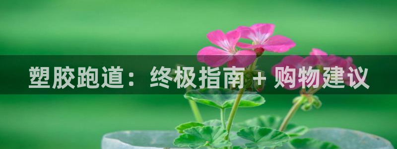 谈球吧app赛事分析：塑胶跑道：终极指南 + 购物建议