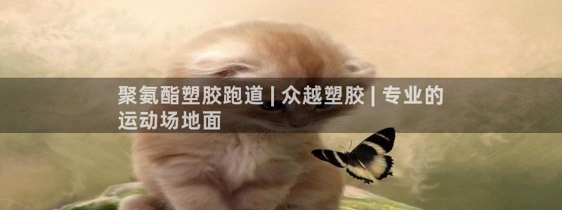 谈球吧体育app登陆入口：聚氨酯塑胶跑道 | 众越塑胶 | 专业的
运动场地面