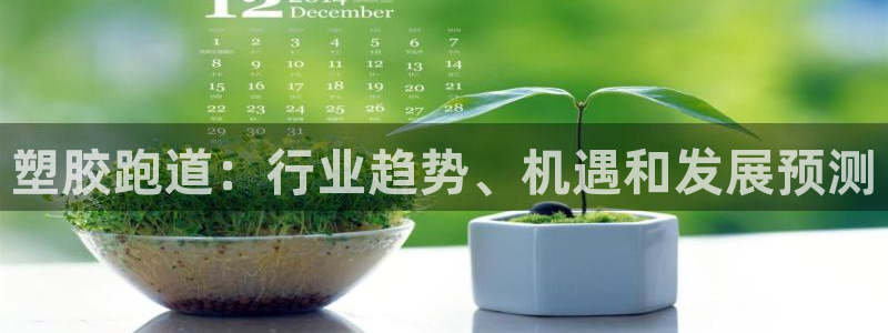 谈球吧app官网：塑胶跑道：行业趋势、机遇和发展预测