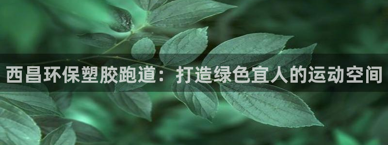谈球吧网页登陆：西昌环保塑胶跑道：打造绿色宜人的运动空间