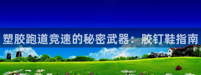 谈球吧出款怎样?：塑胶跑道竞速的秘密武器：胶钉鞋指南