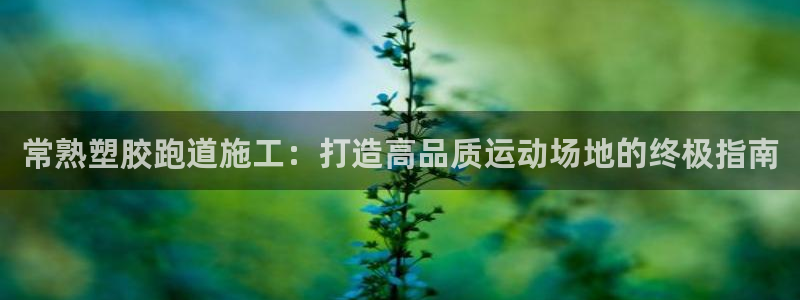 谈球吧网页版：常熟塑胶跑道施工：打造高品质运动场地的终极指南