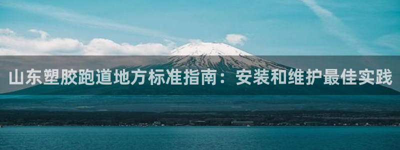 谈球吧入口：山东塑胶跑道地方标准指南：安装和维护最佳实践