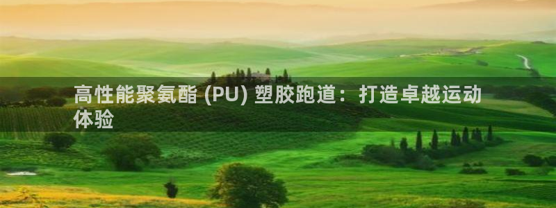 谈球吧电子：高性能聚氨酯 (PU) 塑胶跑道：打造卓越运动
体验