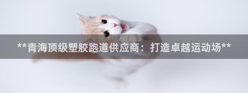 谈球吧首页：**青海顶级塑胶跑道供应商：打造卓越运动场**