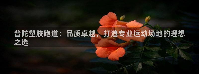 谈球吧体育app登陆不了：普陀塑胶跑道：品质卓越，打造专业运动场地的理想
之选