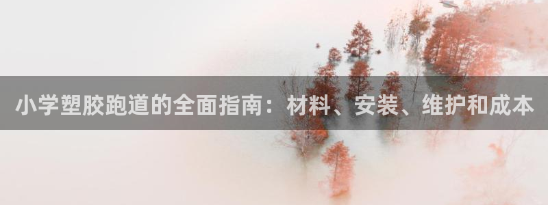 谈球吧app下载：小学塑胶跑道的全面指南：材料、安装