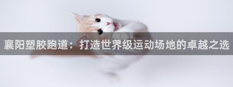 谈球吧论坛：襄阳塑胶跑道：打造世界级运动场地的卓越之选