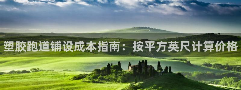 谈球吧出款怎样?：塑胶跑道铺设成本指南：按平方英尺计