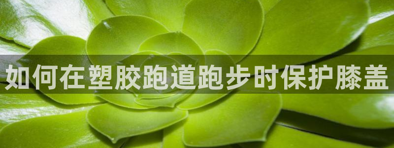 谈球吧下载：如何在塑胶跑道跑步时保护膝盖